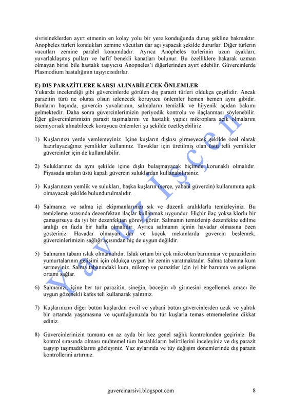 Guvercin Hastaliklari Hastaliklarla Ilgili Cesitli Makaleler Guvercin Hastaliklari Hastaliklarla Ilgili Cesitli Makaleler