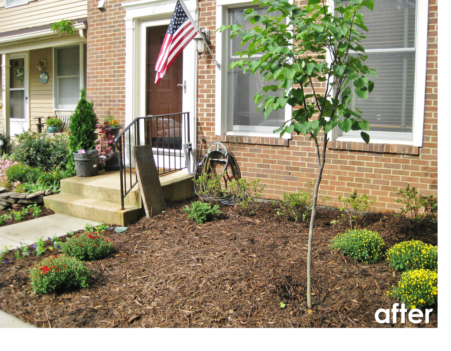 BonnieProjects: Relandscaping the front yard