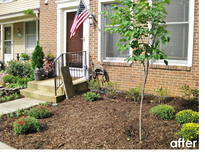 BonnieProjects: Relandscaping the front yard