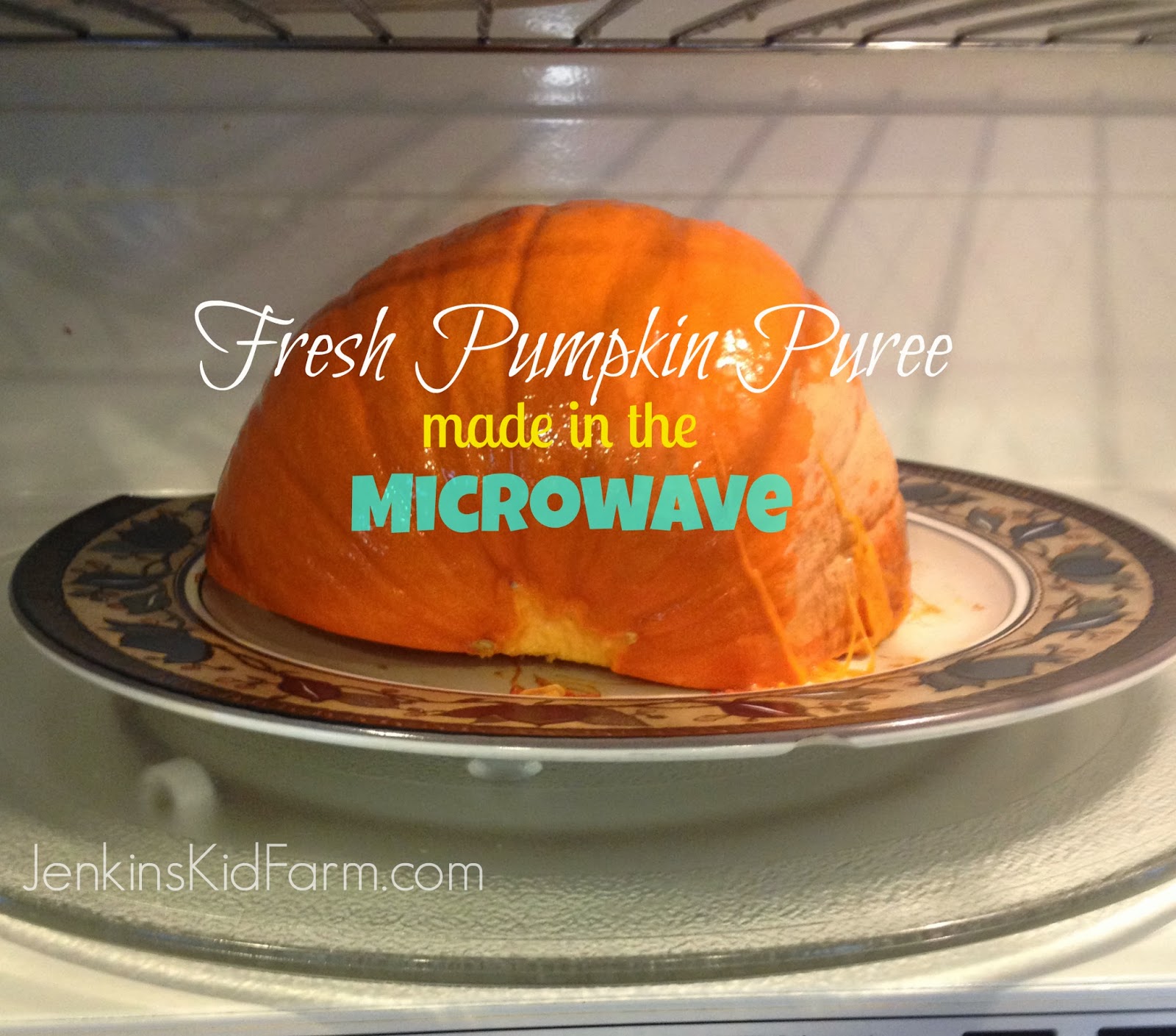 Jenkins Kid Farm Fresh Pumpkin Puree Made With Your Microwave!
