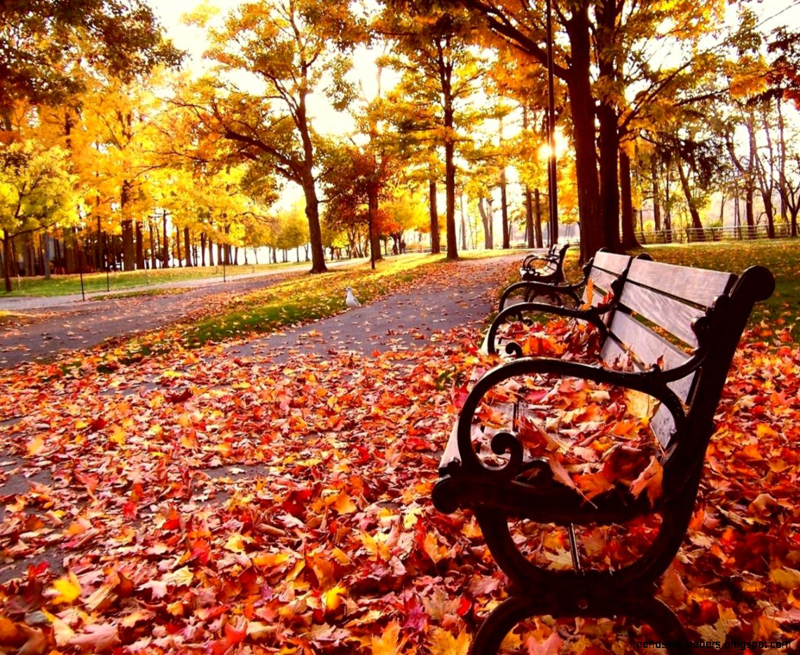 fall wallpapers 9 Desktop Wallpaper Wallpaper Joo fall wallpapers 9 Desktop Wallpaper Wallpaper Joo