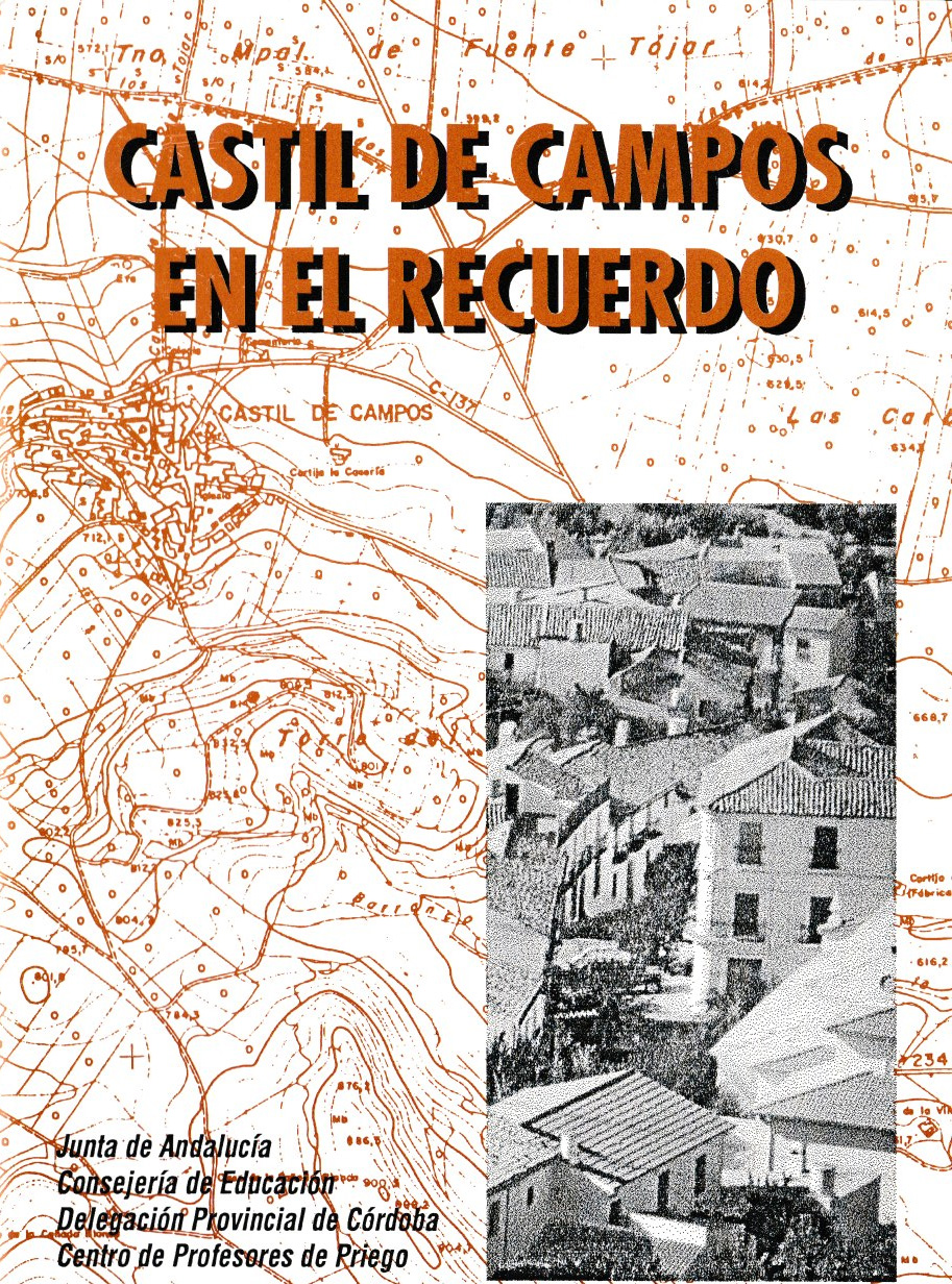 LIBRO CASTIL DE CAMPOS