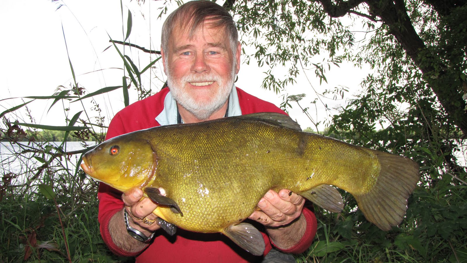 Tench Record