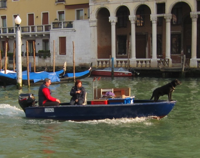 paris breakfasts The Dogs of Venice