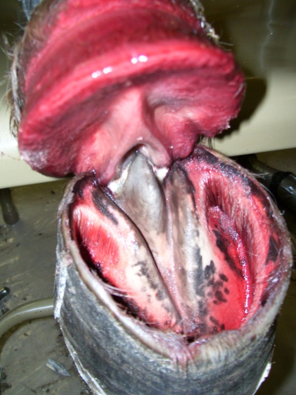 hh-tot_htm_2946b0bb.jpg