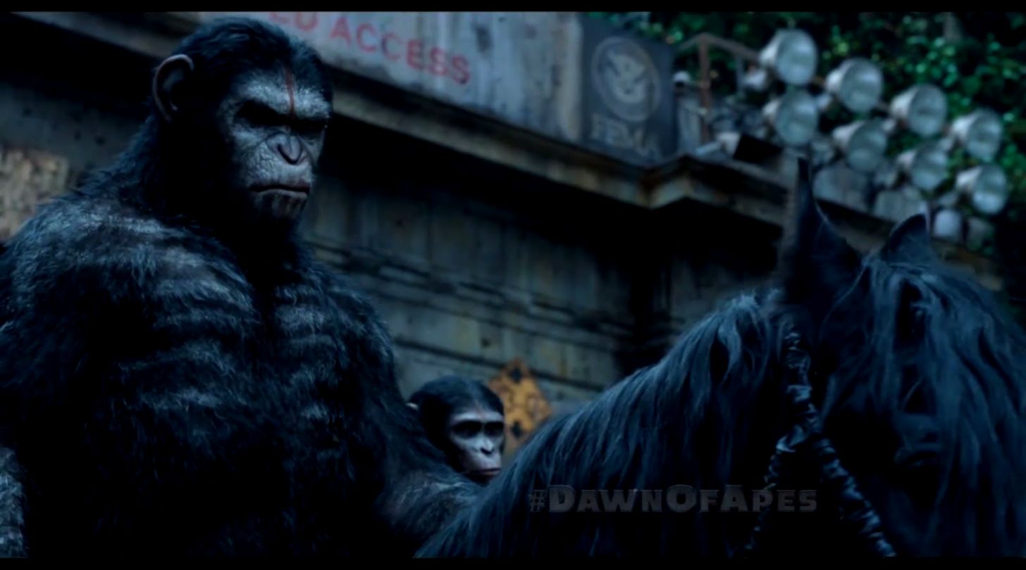 Dawn of the Planet of the Apes HD Wallpapers Dawn of the Planet of the Apes HD Wallpapers