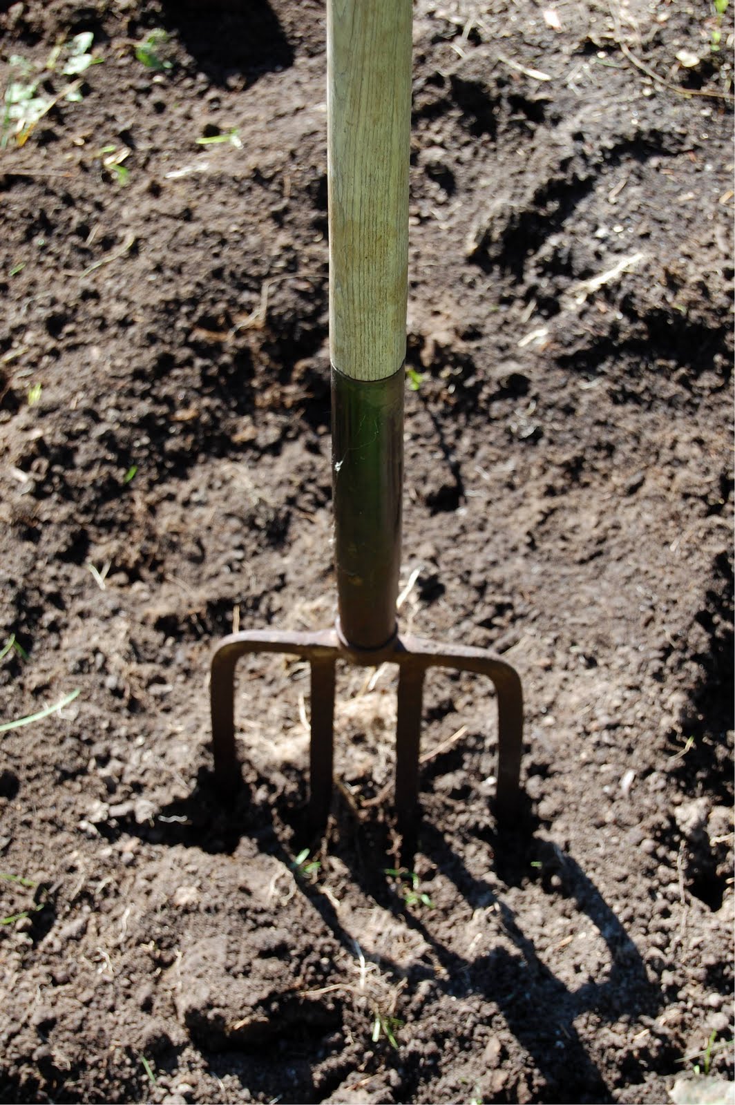 Mark Cullen Garden Guru April 2011