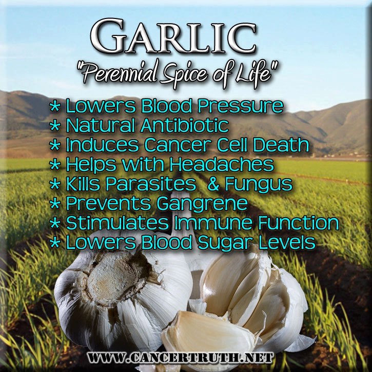 Kenkino's Public Journal Bacteria, GW2, Trolling