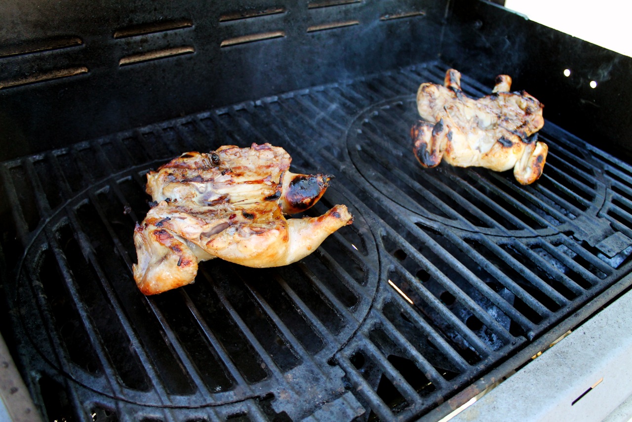 How to Grill a Hen (Or Chicken or Whatever Kind of Bird) Chris Loves