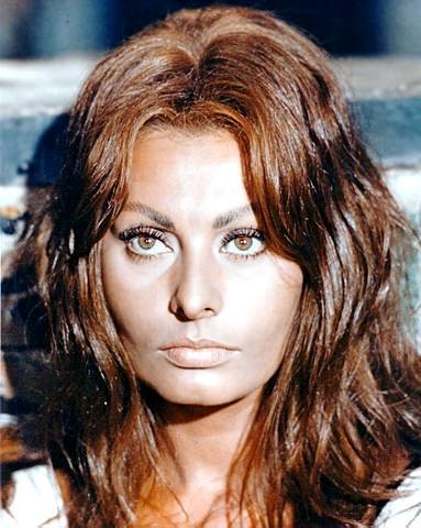101 best images about mi sophia on pinterest icons marcello mastroianni and actresses - Sophia Loren Hair Color 101 best images about mi sophia on pinterest icons marcello mastroianni and actresses - Sophia Loren Hair Color