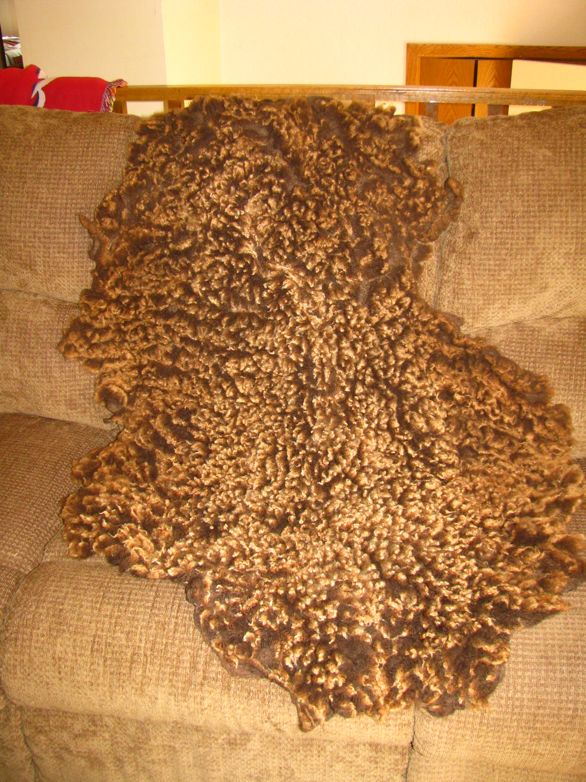 Becky Utecht Felt & Fiber A Felted Fleece