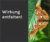 Wir empfehlen