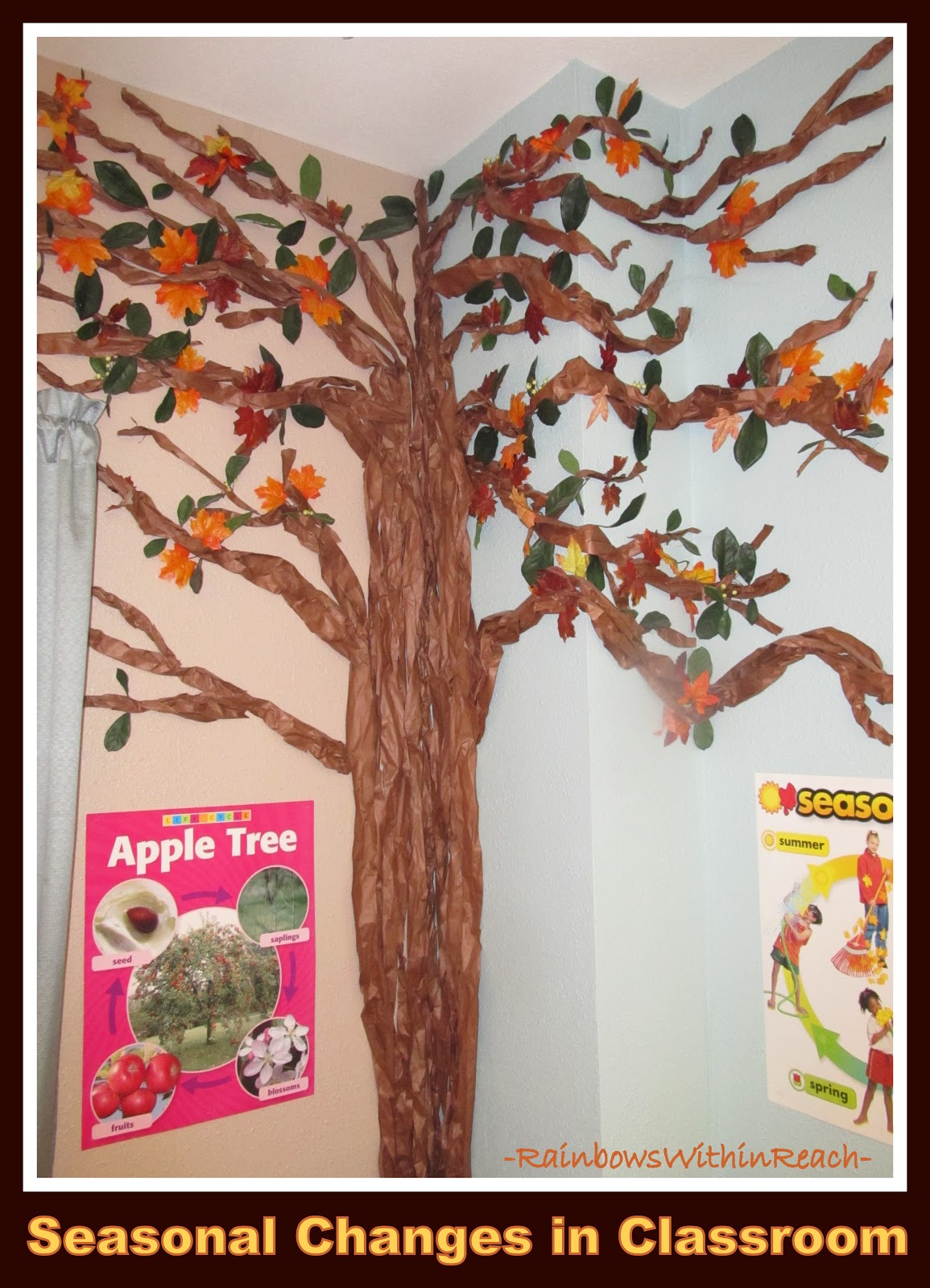 Drseussprojects Trees Growing In The Classroom Tree Roundup