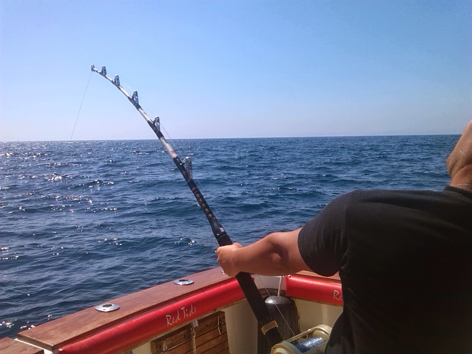 Pesca en Barco en Marbella Atun gigante a currican en Estrecho de
