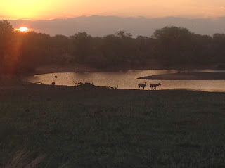 Wat verder prachtig was, was de zonsondergang bij Olifants waar ik nog snel even een paar foto's van heb gemaakt.