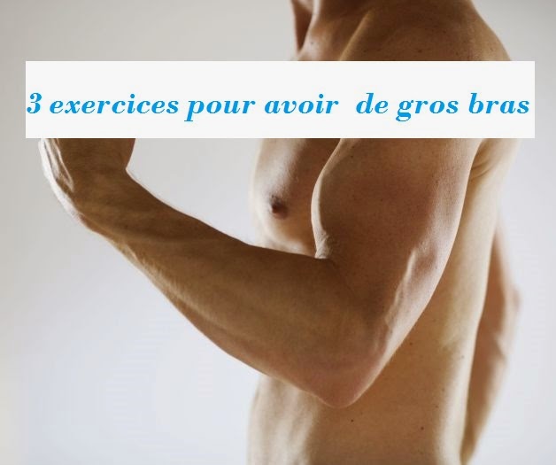 3 exercices pour avoir de gros bras la santé pour tous