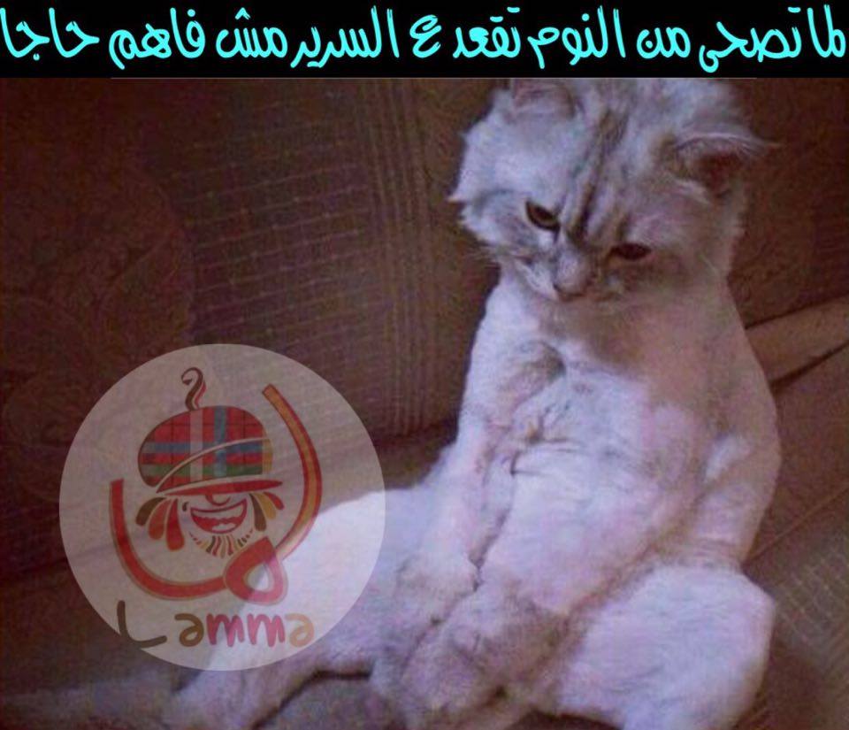 لما تصحى من النوم تقعد على السرير مش فاهم حاجه