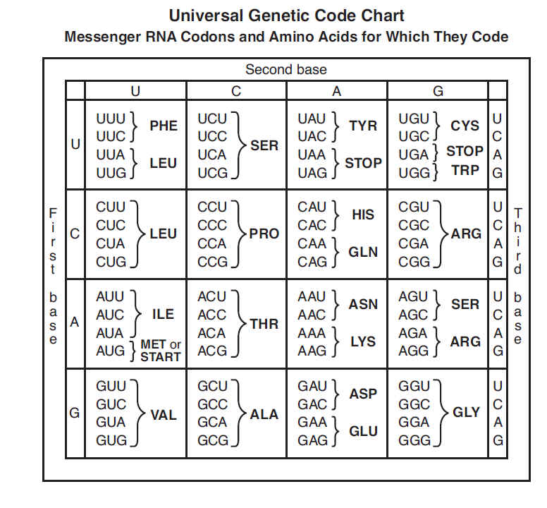 Spendlove Biology (2012-2013): October 2012