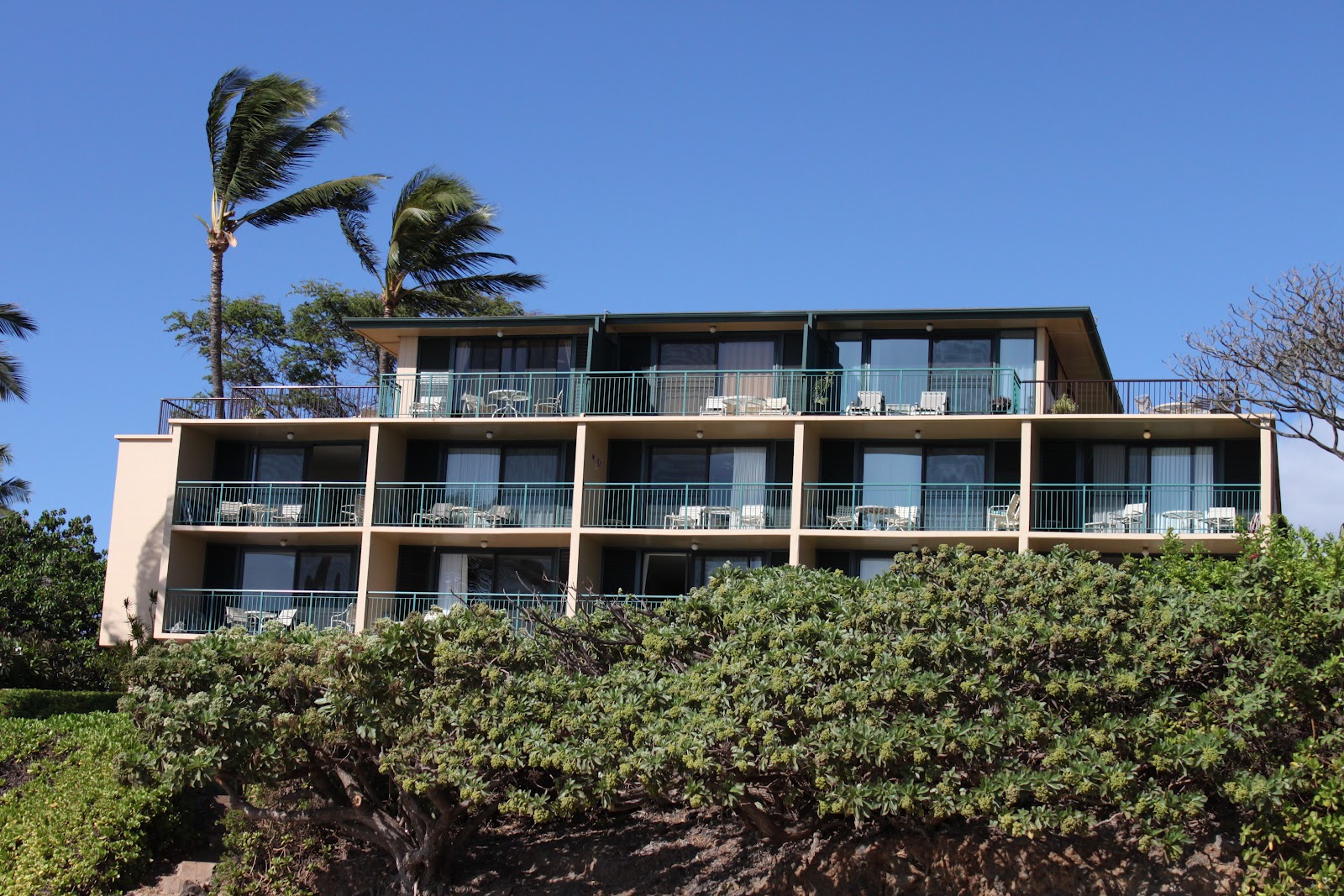Punahoa Beach Apartments