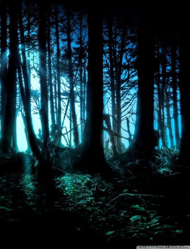 Mysterious Forest HD desktop wallpaper Widescreen High Mysterious Forest HD desktop wallpaper Widescreen High