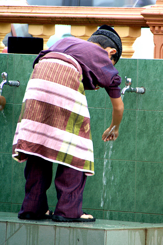 gambar anggota wuduk