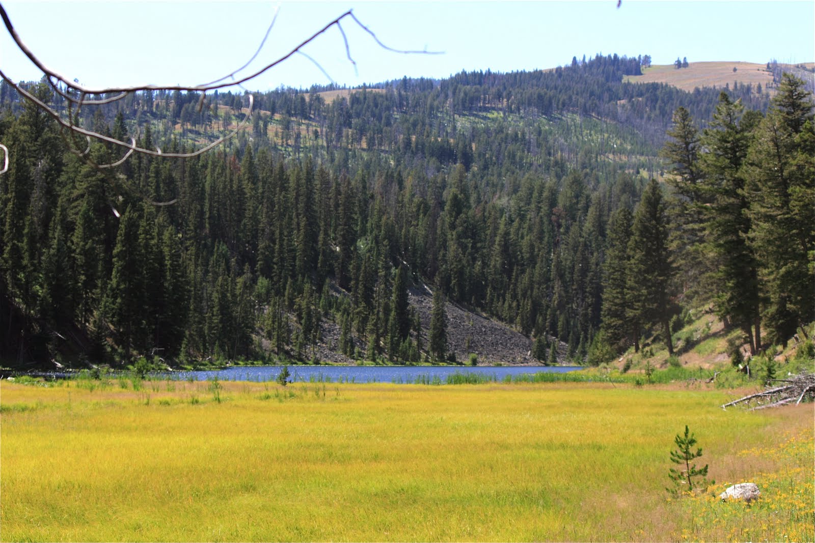 America by RV Hike In Yelowstone, The Lost Lake Trail
