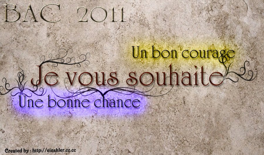 Einshler Le Blog Je Vous Souhaite Une Bonne Chance Un Bon Courage