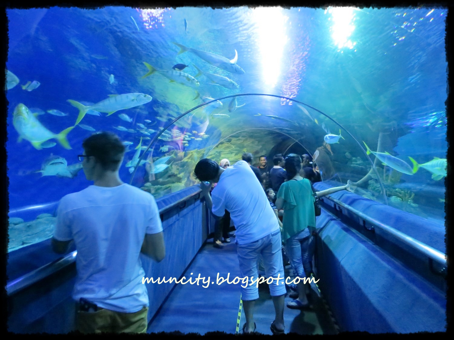 Lalalaland... Aquaria KLCC