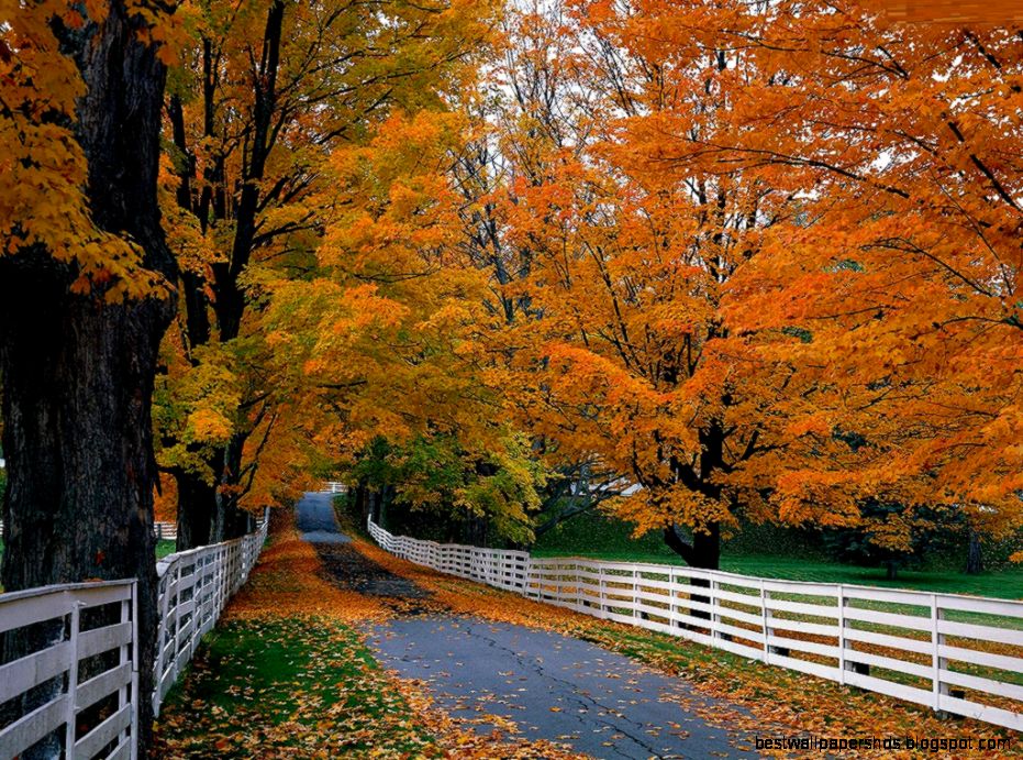 Free Fall Desktop Backgrounds Desktop Backgrounds Free Fall Desktop Backgrounds Desktop Backgrounds
