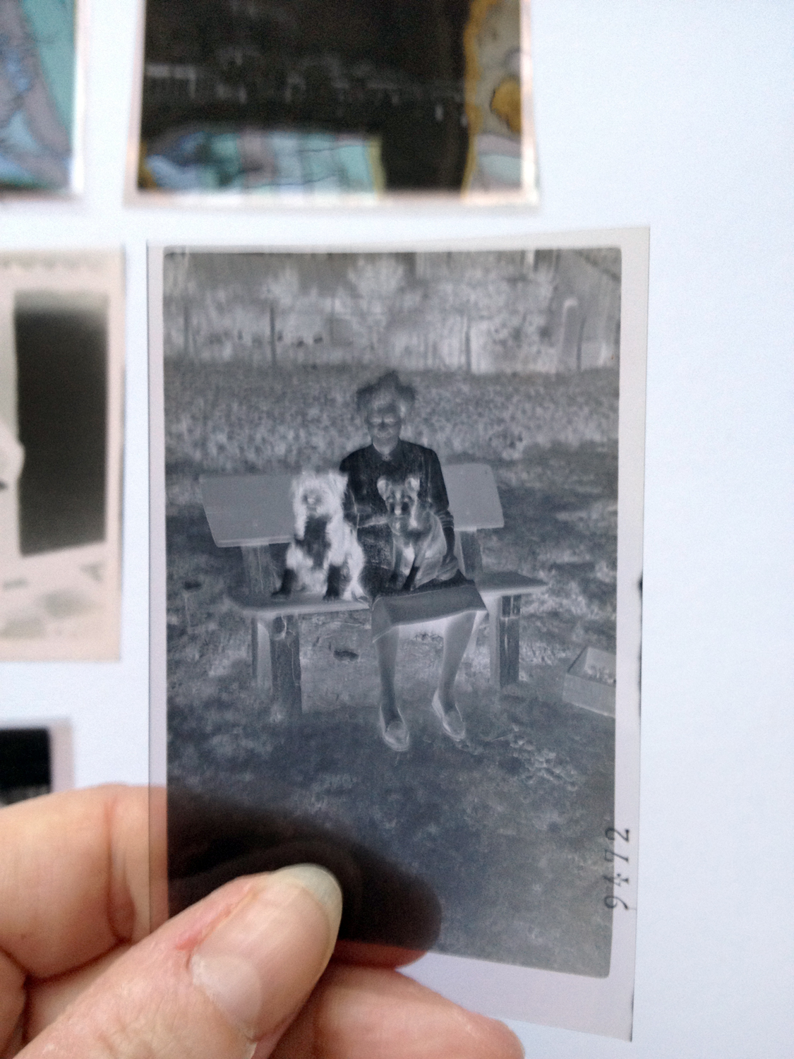 turning pages: Vintage negatives