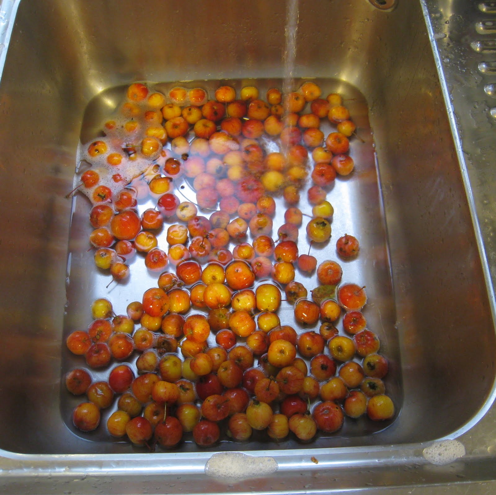 Delicious Delicious Delicious Crab Apple Jelly