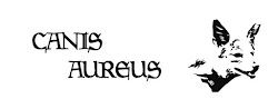 Canis Aureus