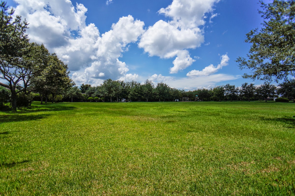 Updated home for sale in Wesmere Ocoee Real Estate