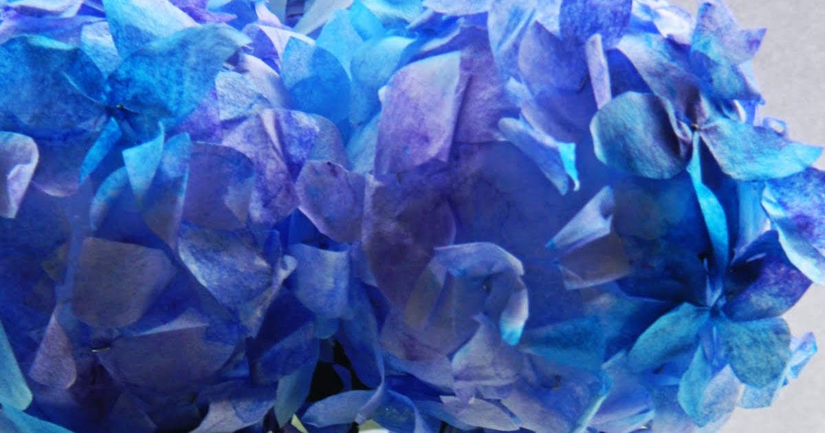 Paper Pendulum Coffee Filter Hydrangeas