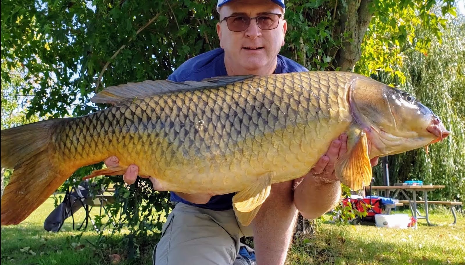 Best carp in 2019