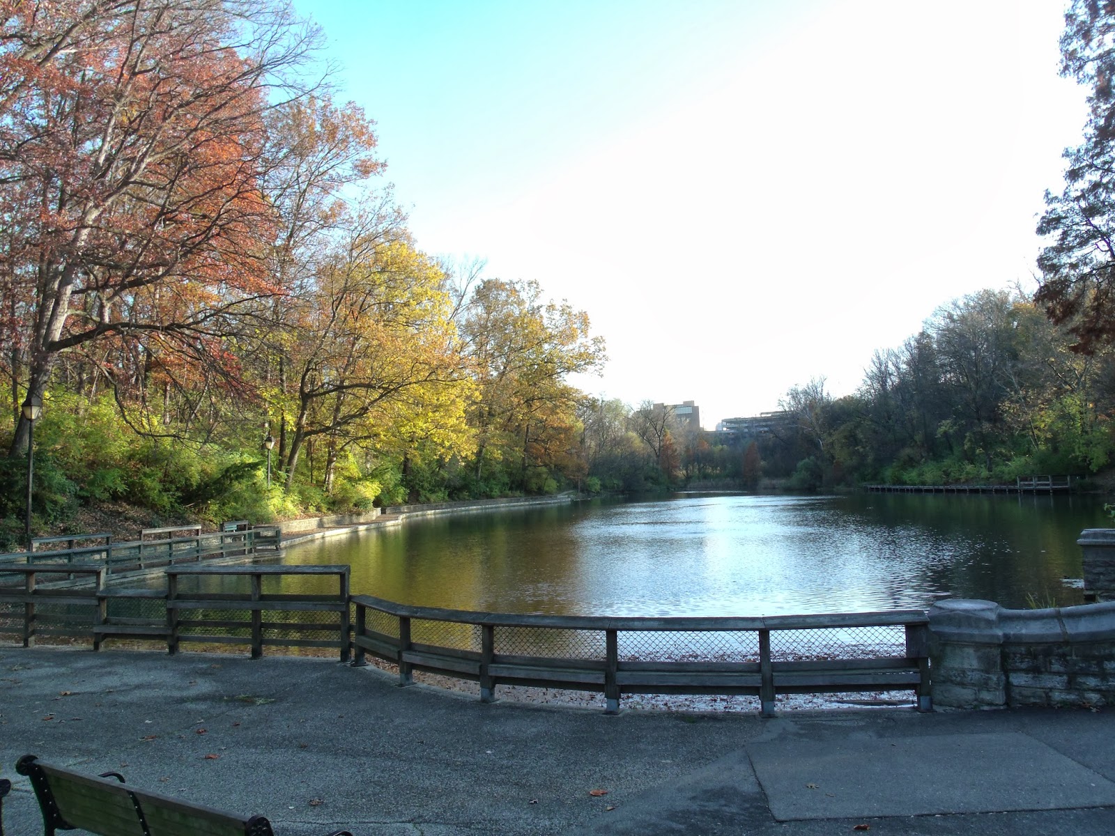 Letters for The Seasons of Woods Lake