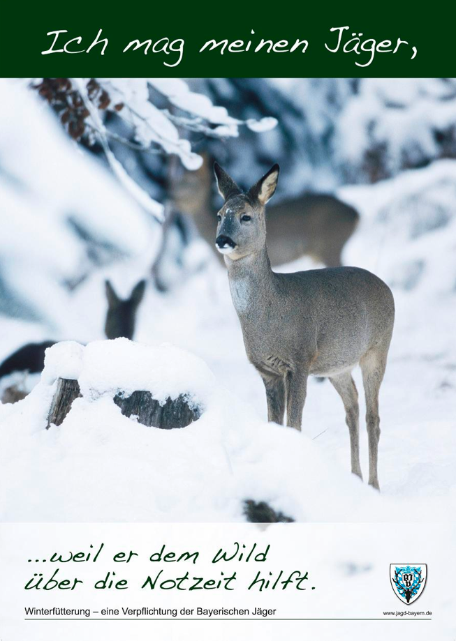 Die 55 Besten Bilder Von Geschenke In 2020 Geschenke Geschenk