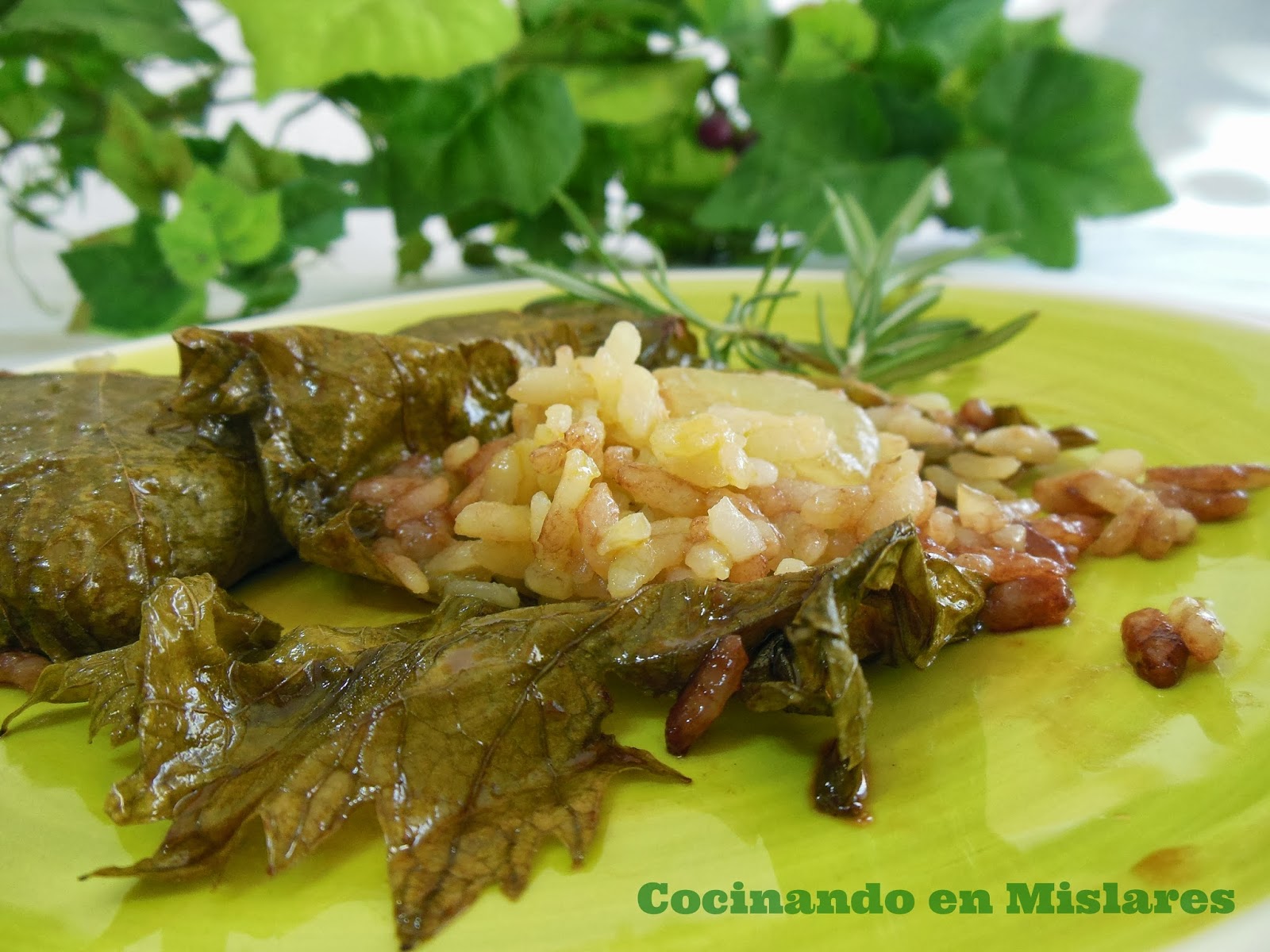 ARROZ CREMOSO con UVAS envuelto en HOJAS de PARRA Cocinando en Mislares
