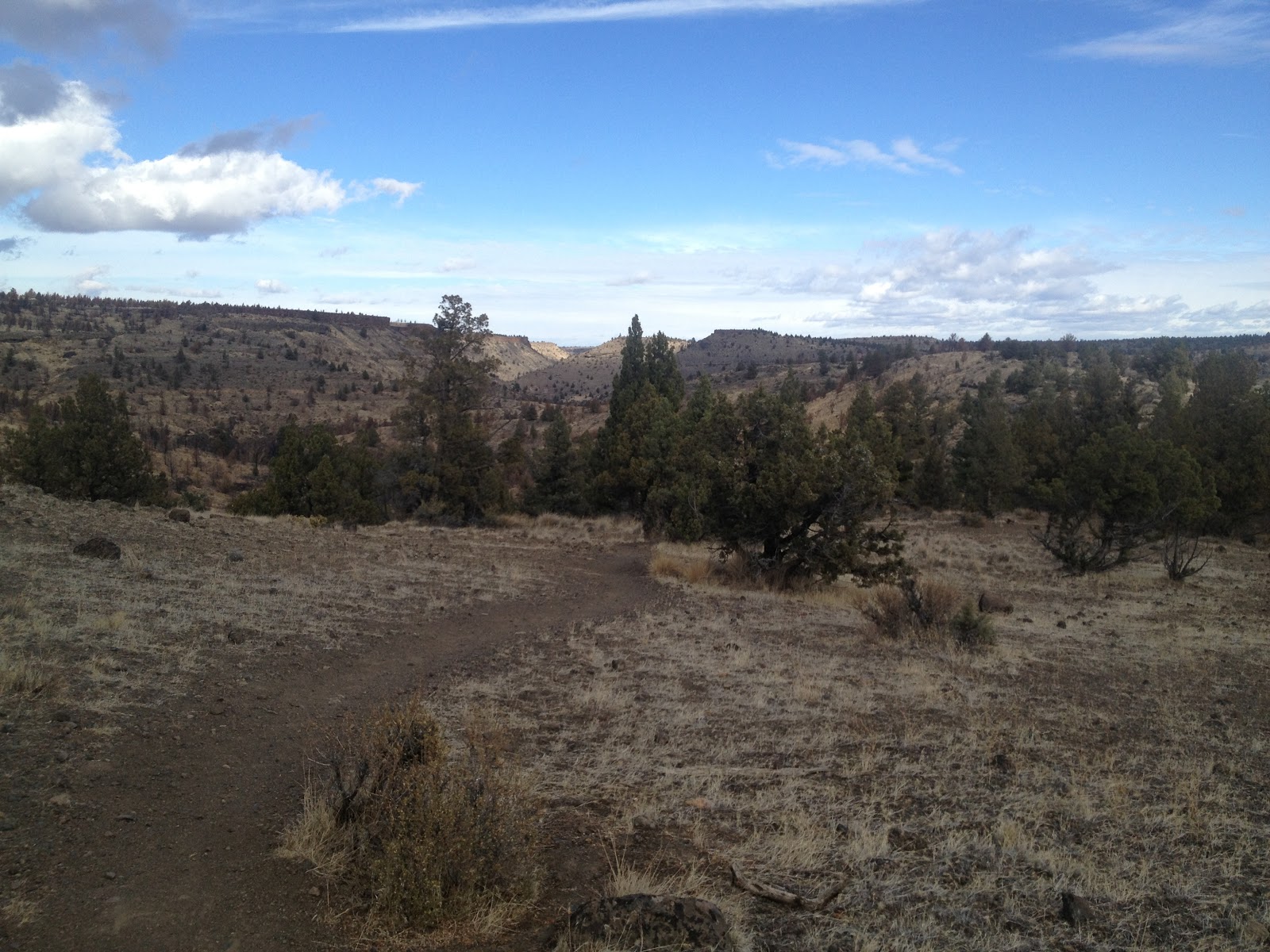 Alder Springs Trail High Desert Beauty Along Whychus Creek
