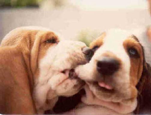 Bacio+appassionato.jpg