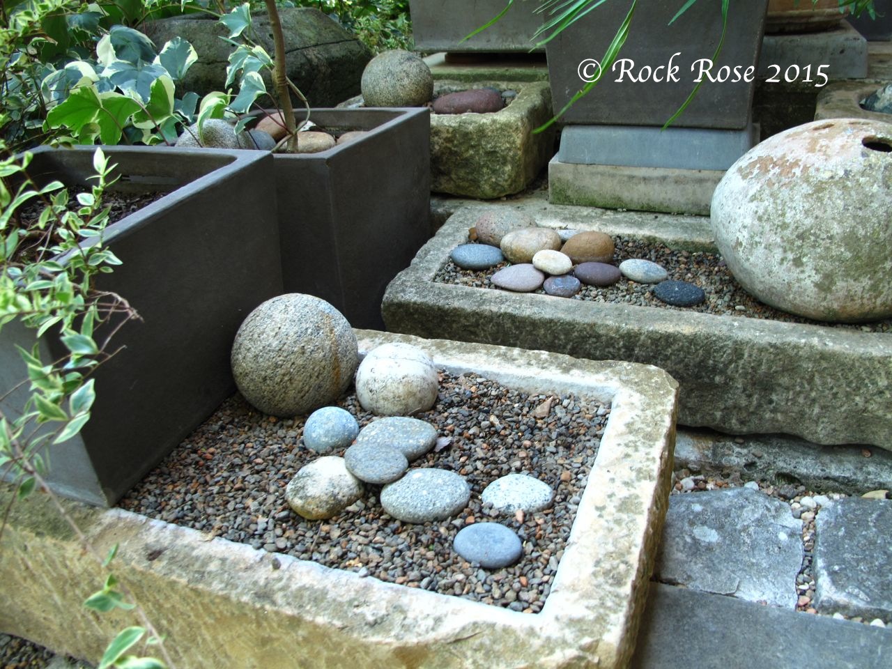 ROCK ROSE WHAT IS A GARDEN WITHOUT ITS POTS