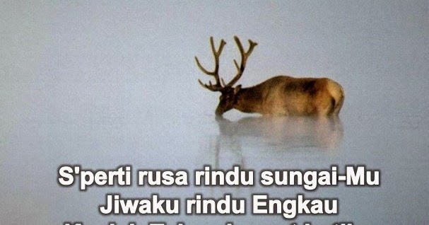 Ilustrasi Kristen, Renungan Kristen: Seperti Rusa Haus Yang Merindukan Air