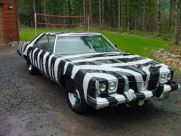 1k: Hide In Bush Country: 1973 Pontiac Catalina 400ci V8 1k: Hide In Bush Country: 1973 Pontiac Catalina 400ci V8