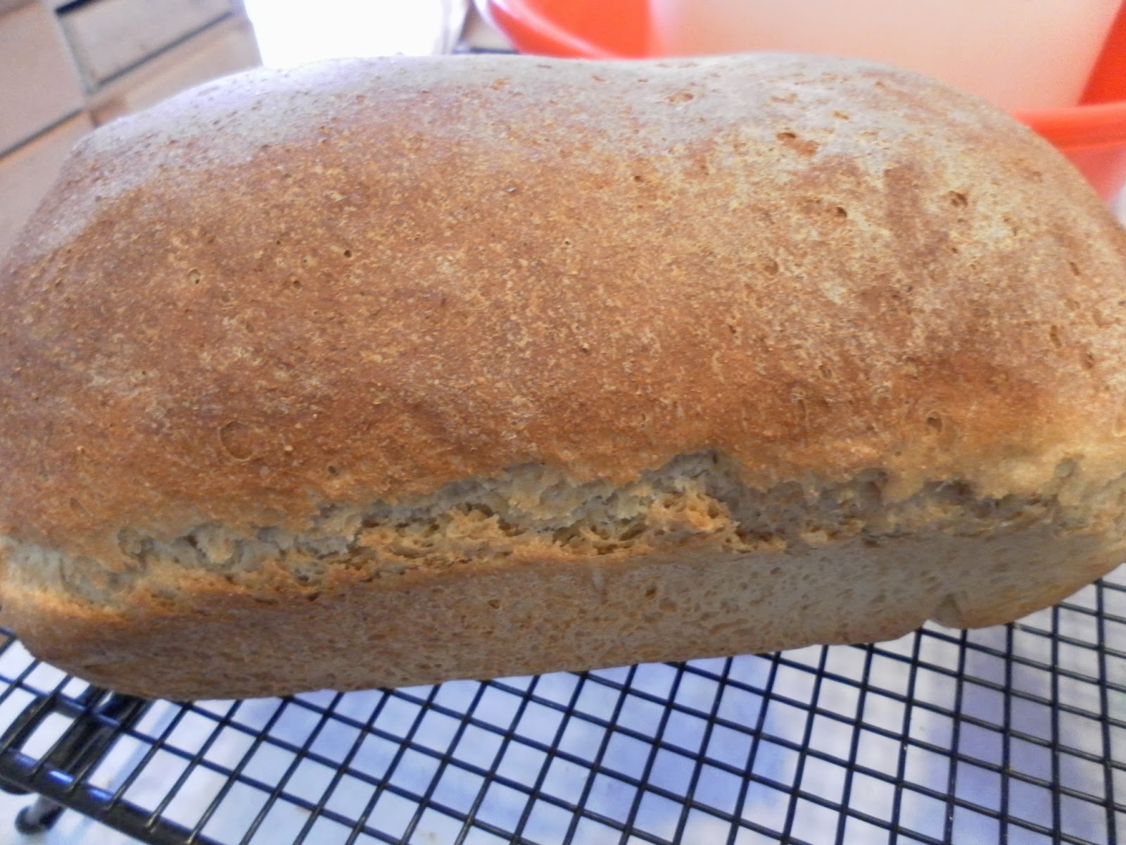 Nine for Dinner Sourdough Ezekiel Bread