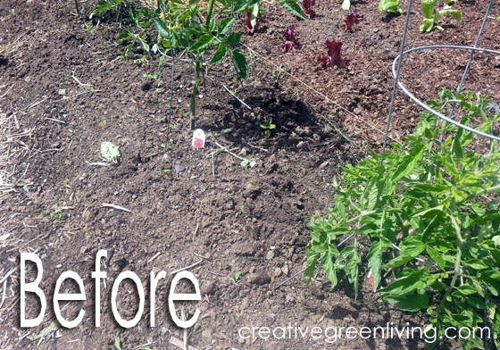 image gallery laying mulch image gallery laying mulch