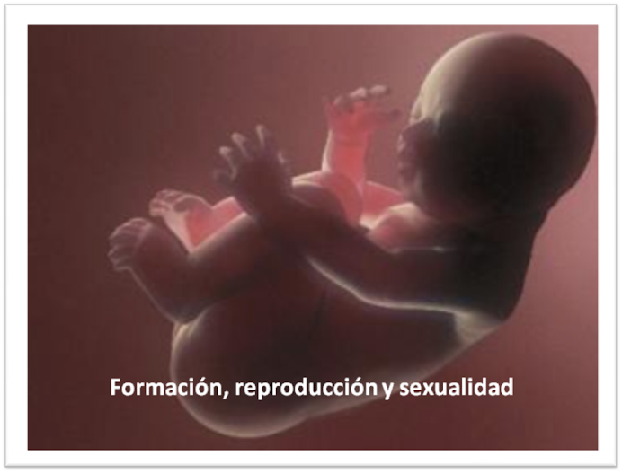 Formación, reproducción y sexualidad