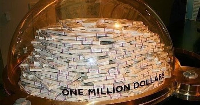 quaeram Vuoi guadagnare un milione di dollari da casa