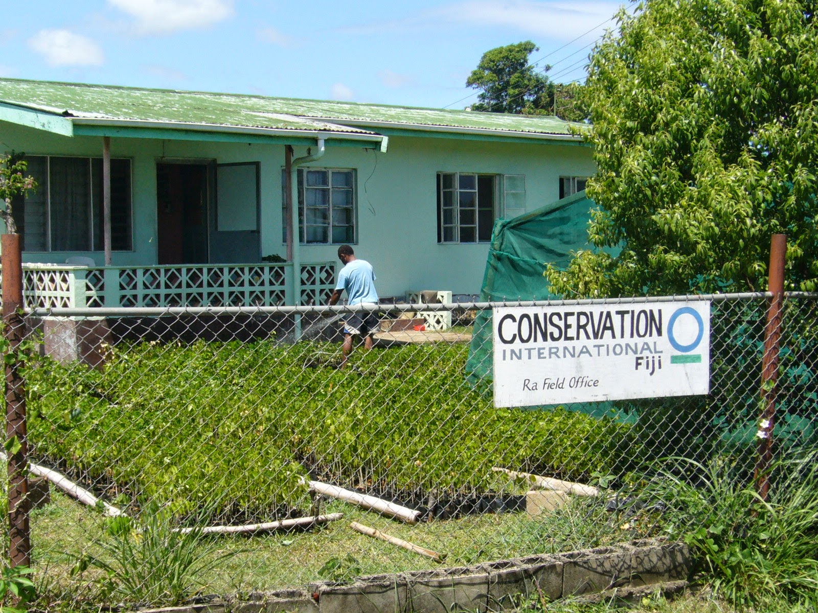 FA�s Blog FIJI WATER By Matt Allen