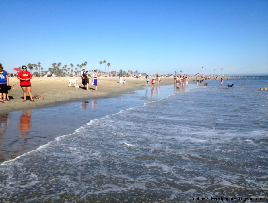 Long Beach Rosies Dog Park Long Beach Rosies Dog Park