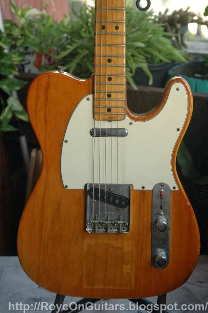 RoyC on Guitars Fender Guitar Models